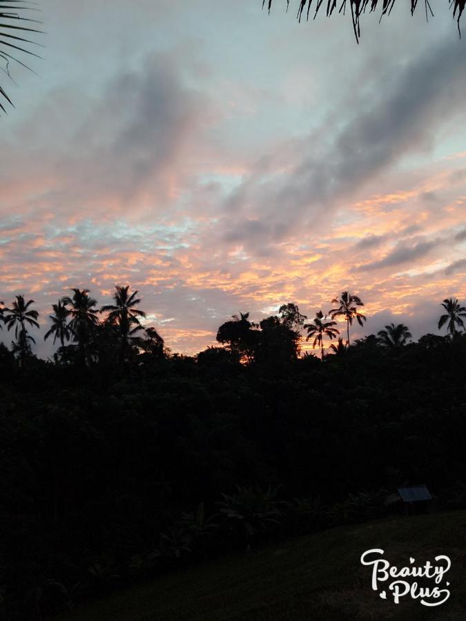 Babahan Farmstay Selemadeg Esterno foto