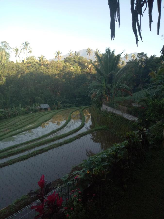 Babahan Farmstay Selemadeg Esterno foto