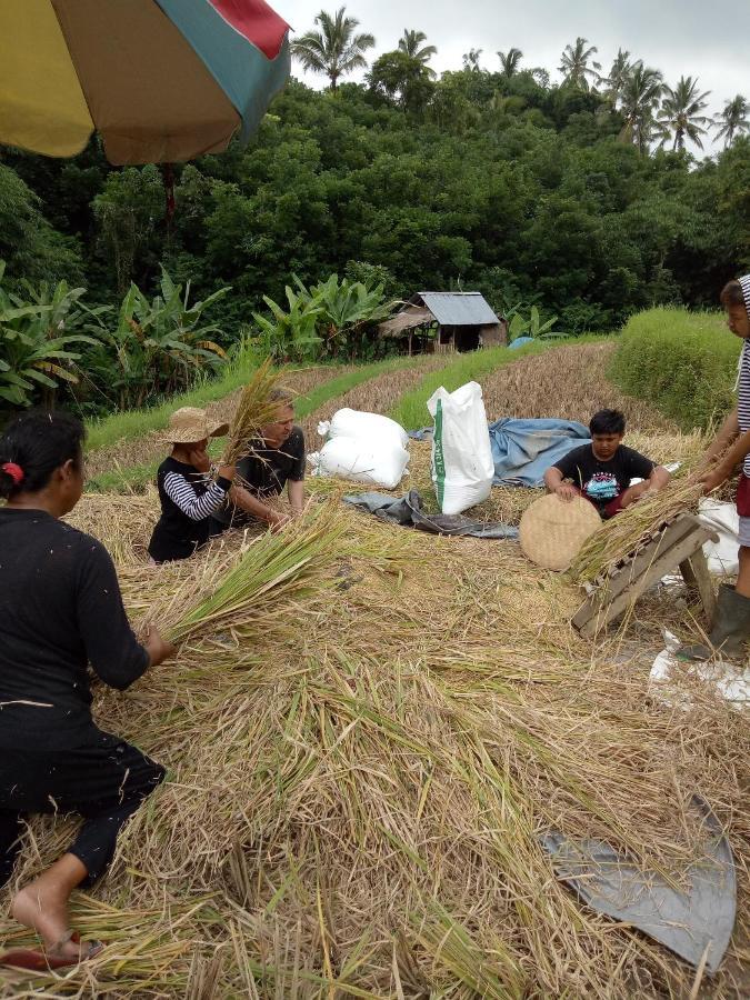Babahan Farmstay Selemadeg Esterno foto