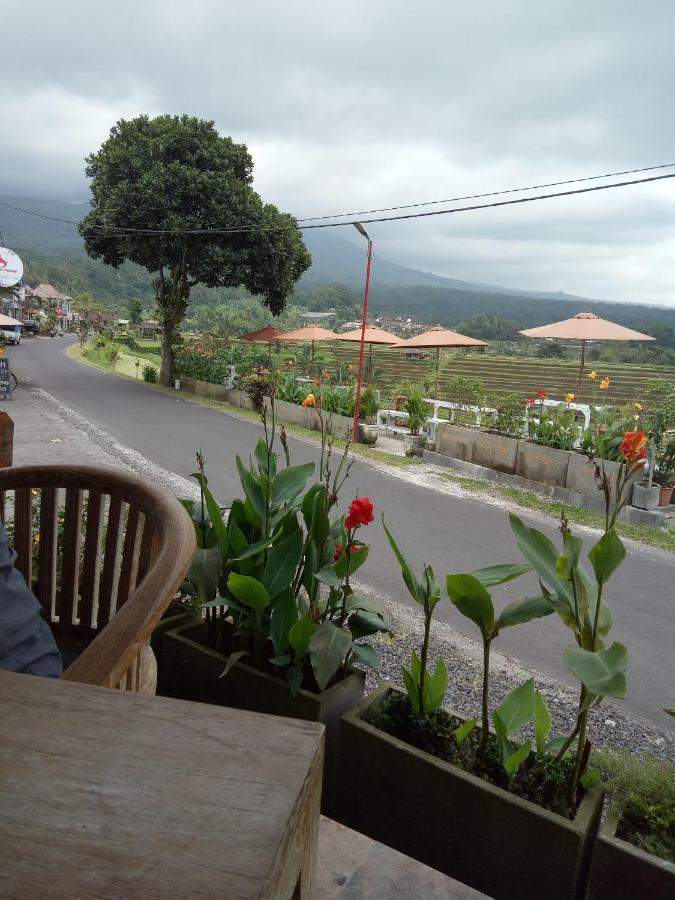 Babahan Farmstay Selemadeg Esterno foto
