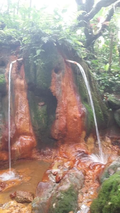 Babahan Farmstay Selemadeg Esterno foto