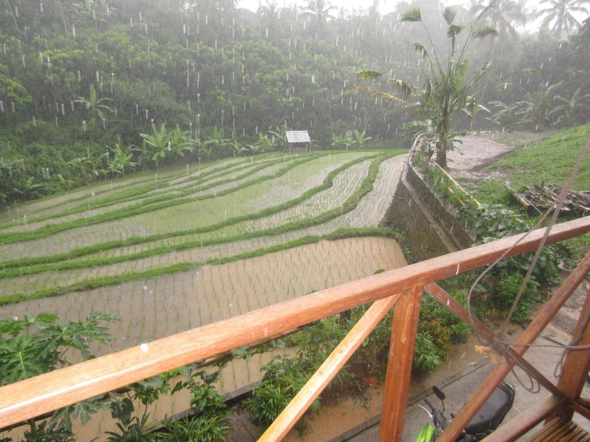 Babahan Farmstay Selemadeg Esterno foto
