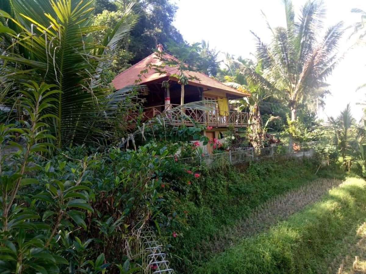Babahan Farmstay Selemadeg Esterno foto