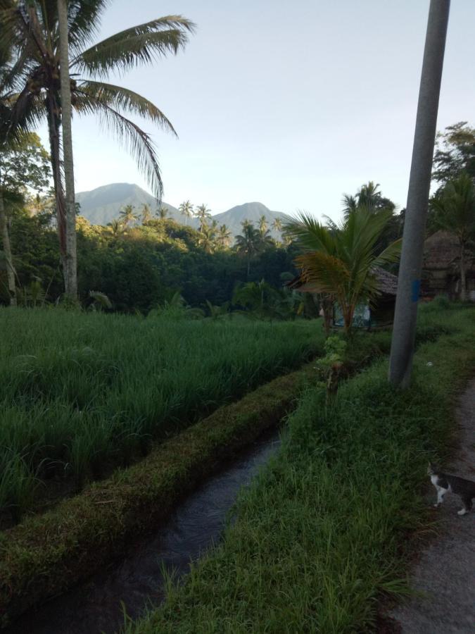 Babahan Farmstay Selemadeg Esterno foto