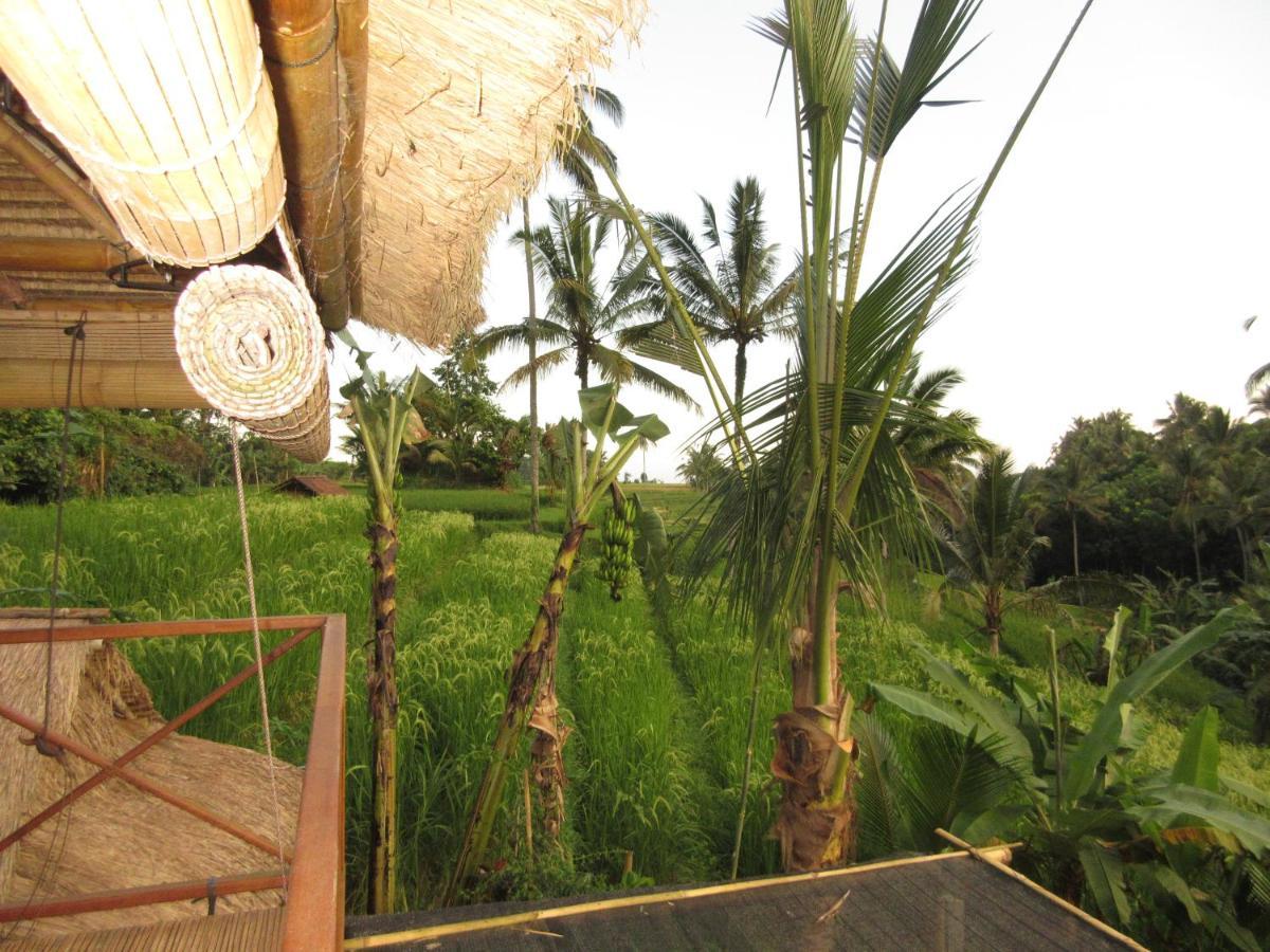 Babahan Farmstay Selemadeg Esterno foto