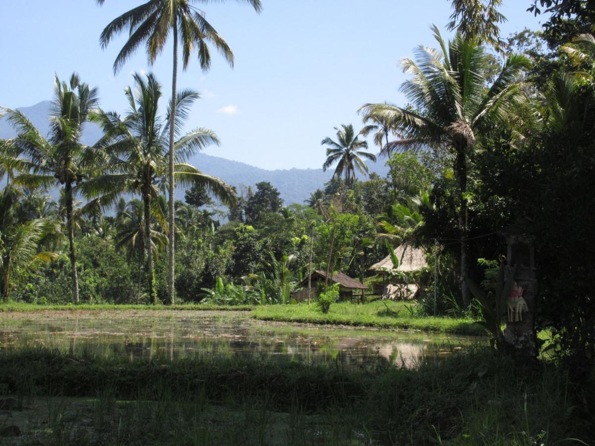 Babahan Farmstay Selemadeg Esterno foto
