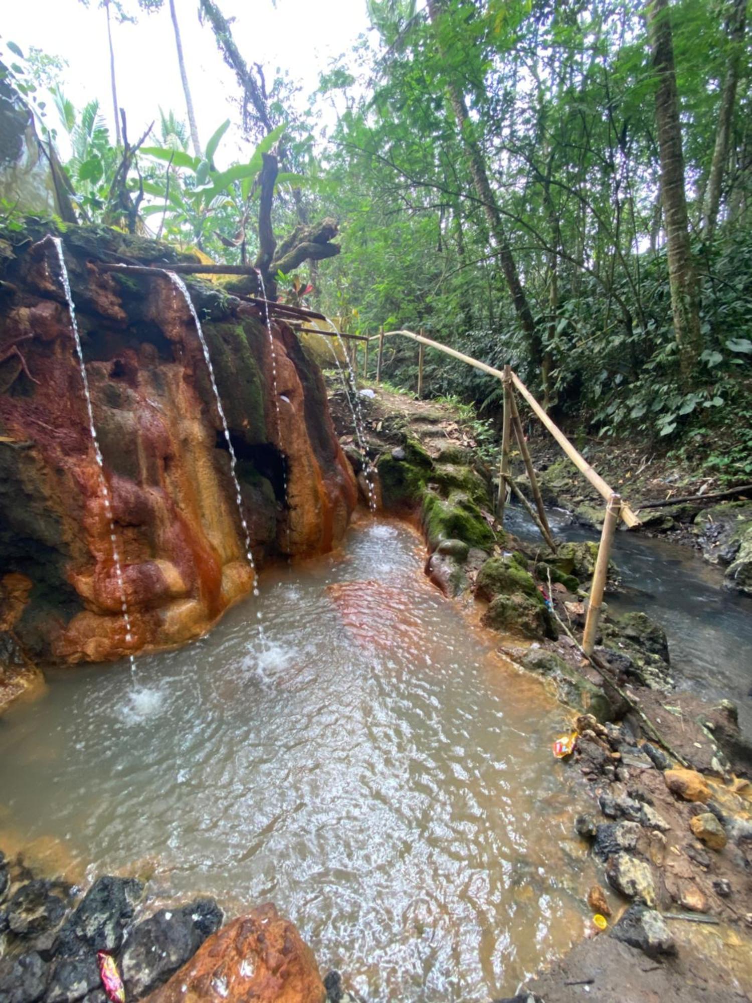 Babahan Farmstay Selemadeg Esterno foto